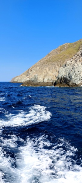 Seabird galeri görseli 17