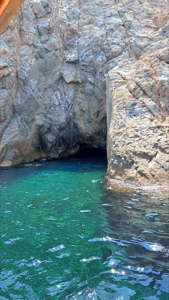 Seabird galeri önizleme
