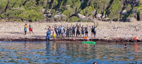 Seabird galeri görseli 63