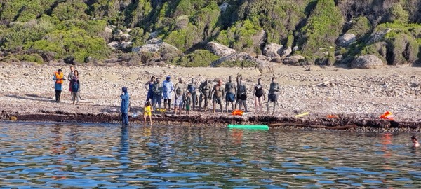 Seabird galeri görseli 71